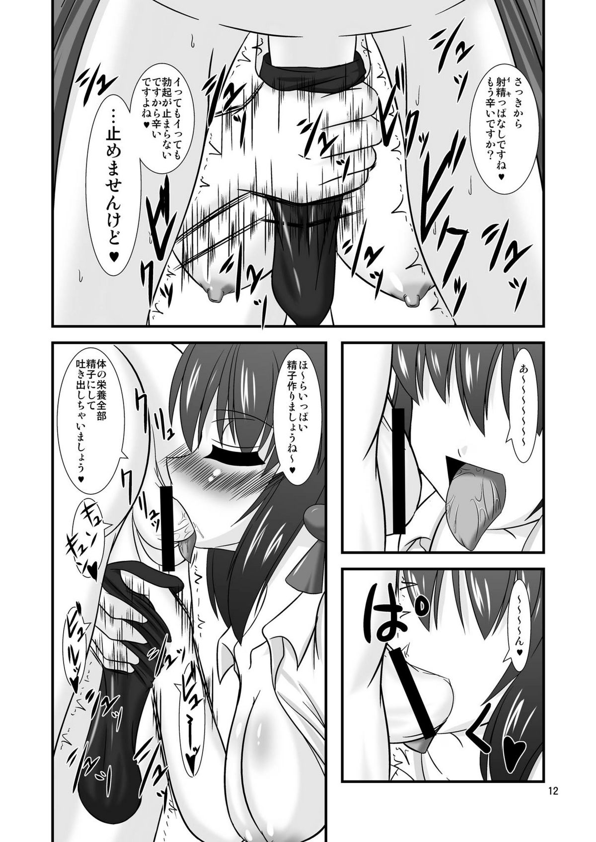 Touhou Dom Hoihoi ~Shameimaru-hen~ page 12 full