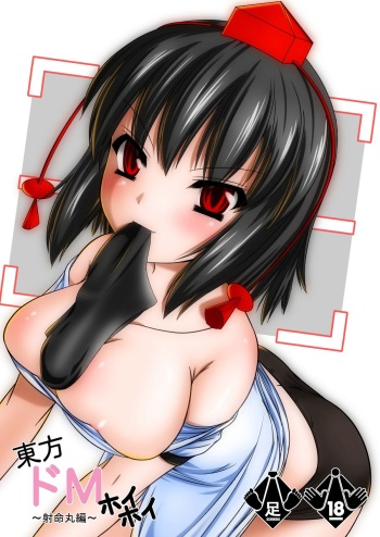 [Endless Requiem] Touhou Dom Hoihoi ~Shameimaru-hen~ (Touhou Project) [Digital] cover
