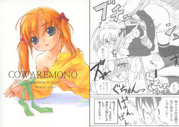 (C65) [Ocarina (Dyontairan)] Cowaremono #3 cover