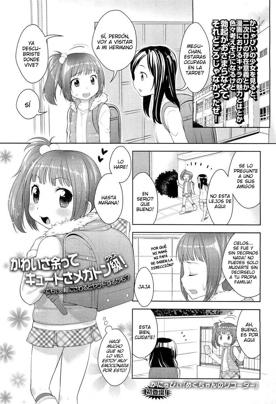 Megu-chan's Recorder | La Flauta de Megu-chan page 1 full