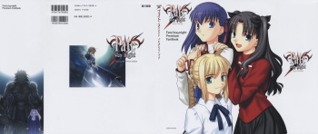 Fate/stay night Premium FanBook cover