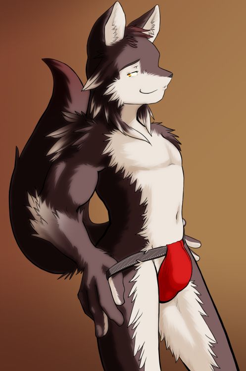 my second yaoi  furry gallery page 12 full