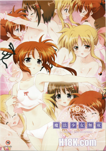 (C79) [Hiyotama Goten (Nagase Yutaka)] Mahou Shoujo Musou (Mahou Shoujo Lyrical Nanoha) cover