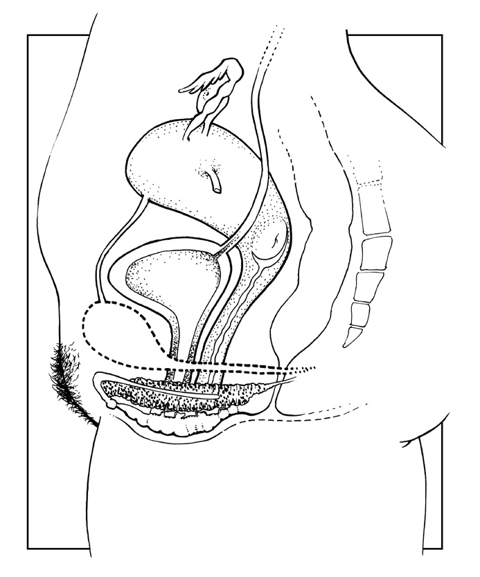 Le Cunnilingus page 6 full