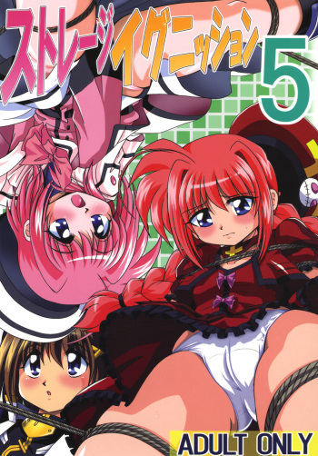 [Thirty Saver Street 2D Shooting (Various)] Storage Ignition 5 (Mahou Shoujo Lyrical Nanoha) [Digital] cover