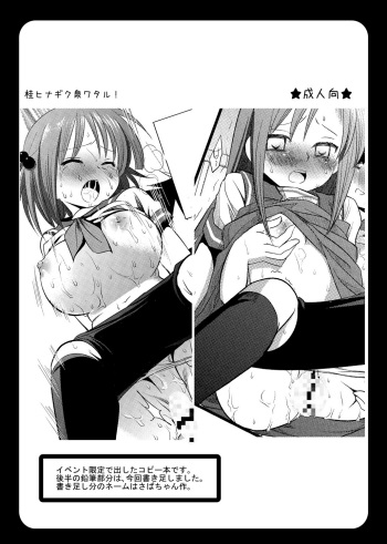 (C74) [Nagiyamasugi (Nagiyama)] Katsura Hinagiku Izumi Wataru! (Hayate no Gotoku!) cover