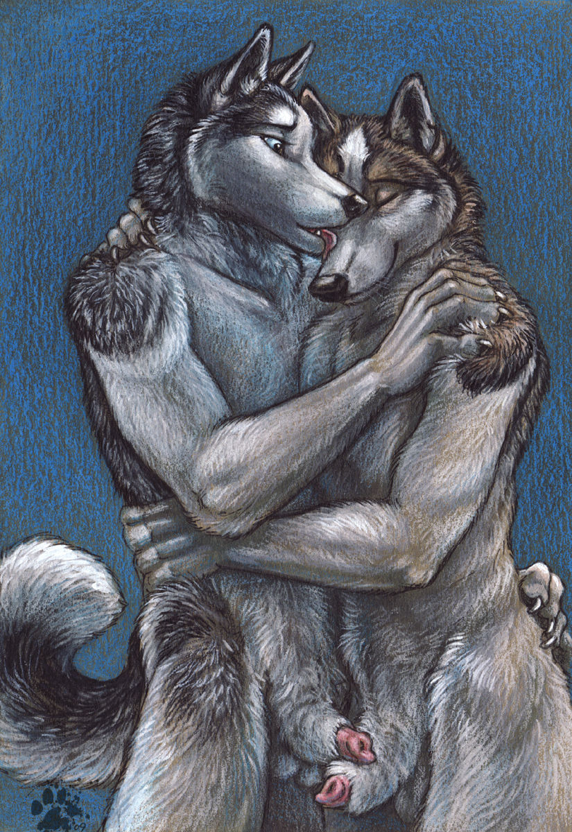 Male Furries page 2 full