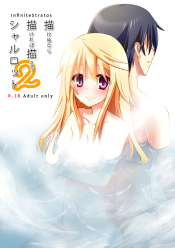[Kakeru] Kakenunara Kakereba Kakou Charlotte 2 (IS <Infinite Stratos>) cover