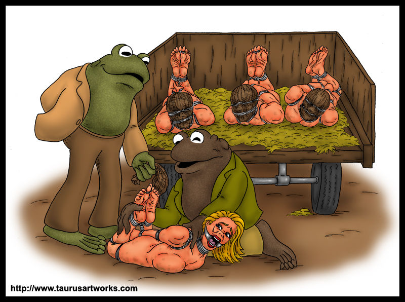 FROG & TOAD page 11 full