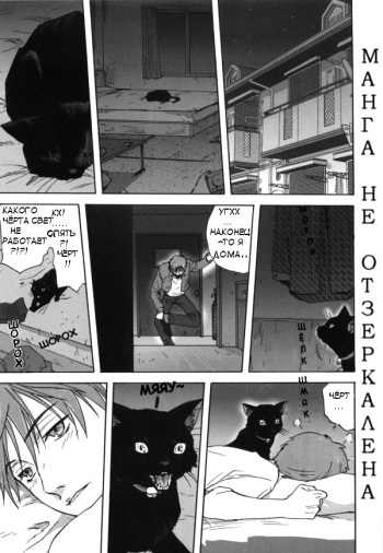 [Mitarashi Kousei] Neko no Ongaeshi | Кошка, которая платит за доброту (Kazoku Donburi) [Russian] [Neko-Punk] cover