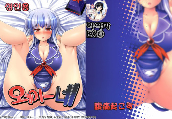 (Reitaisai 7) [Fukutsuu Okosu (Kaiou)] Ok Keine (Touhou Project) [Korean] [팀☆면갤] cover