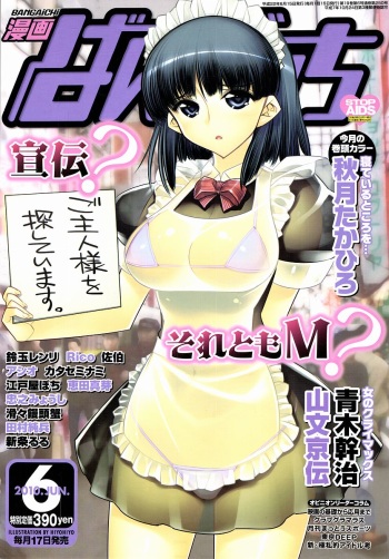 Manga Bangaichi 2010-06 [Incomplete] cover