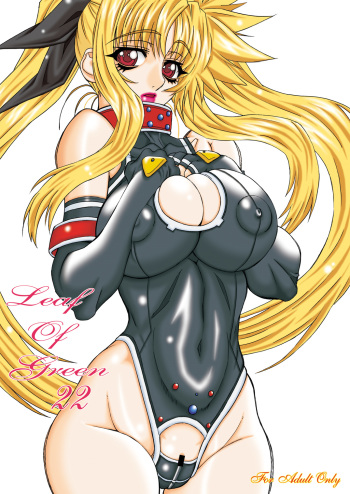 [Power Slide (Uttorikun)] Leaf Of Green 22 (Mahou Shoujo Lyrical Nanoha) [Digital] cover