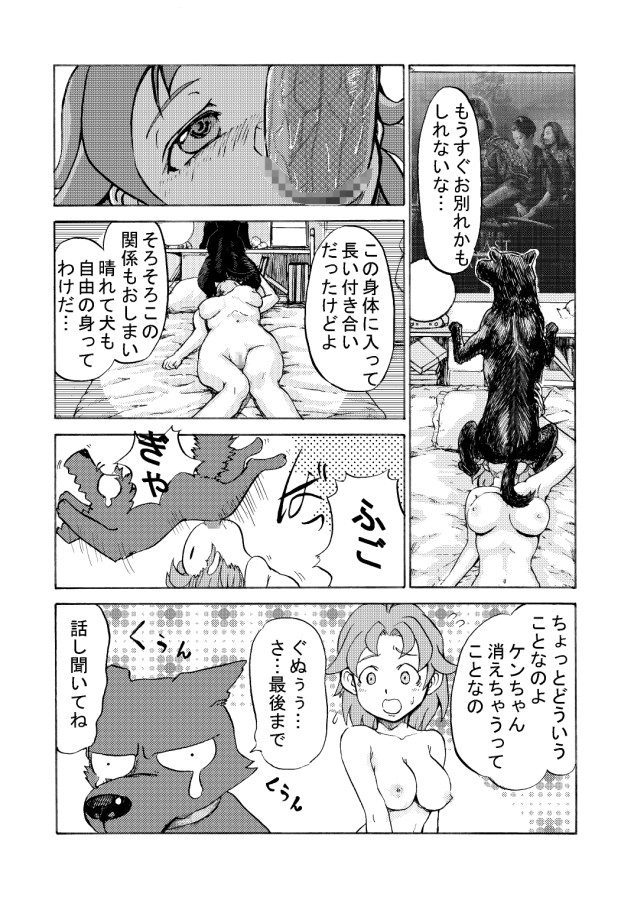 Juukan Senka - Dai 4ki - Aiaru Jiaowei page 12 full