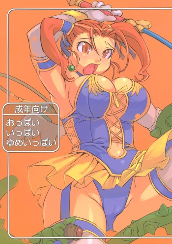 (C69) [Gadoujuku (Kawacchi Hirohiro)] Oppai Ippai Yume Oppai (Dragon Quest VIII) cover