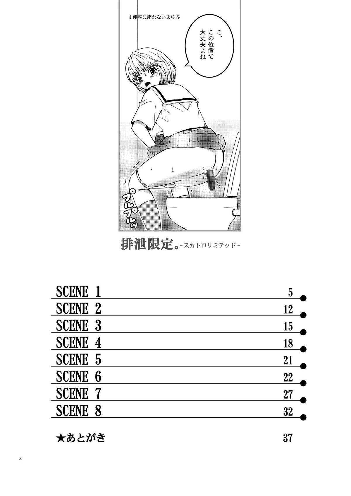 Scatolo Limited. page 4 full