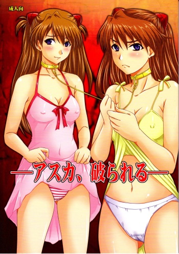 (C78) [Nozarashi (Nozarashi Satoru)] Asuka, Yaburareru (Neon Genesis Evangelion) cover