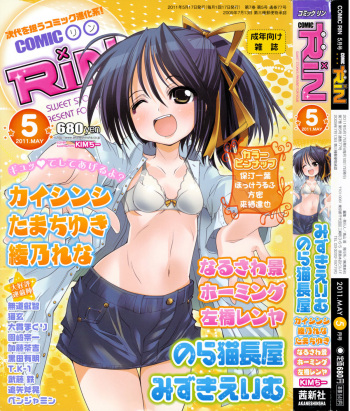 COMIC RiN 2011-05 cover