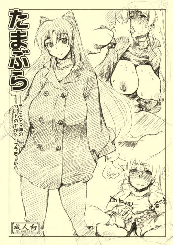 (C81) [Sago-Jou (Saura Isago)] Tamabura (ToHeart2) cover