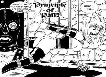 [D-X] Principle of Pain cover