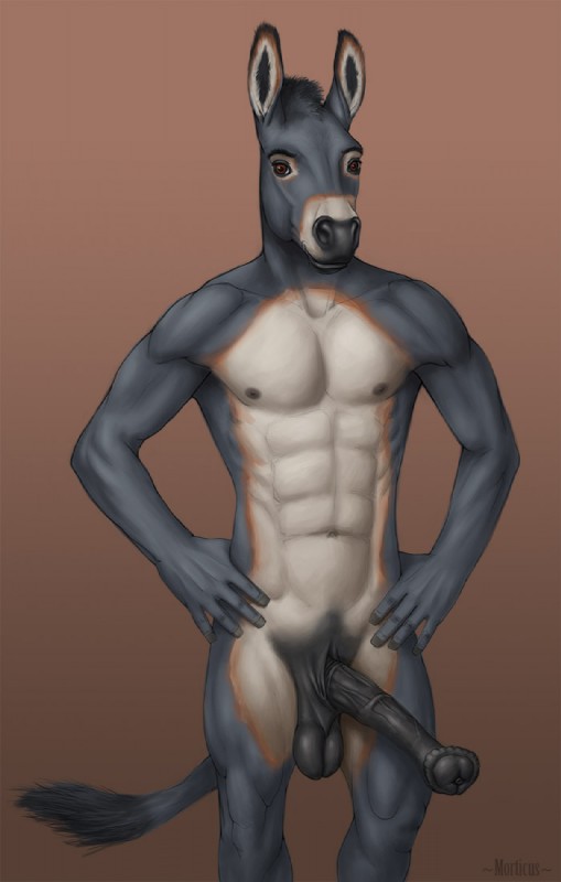 furry pics page 11 full
