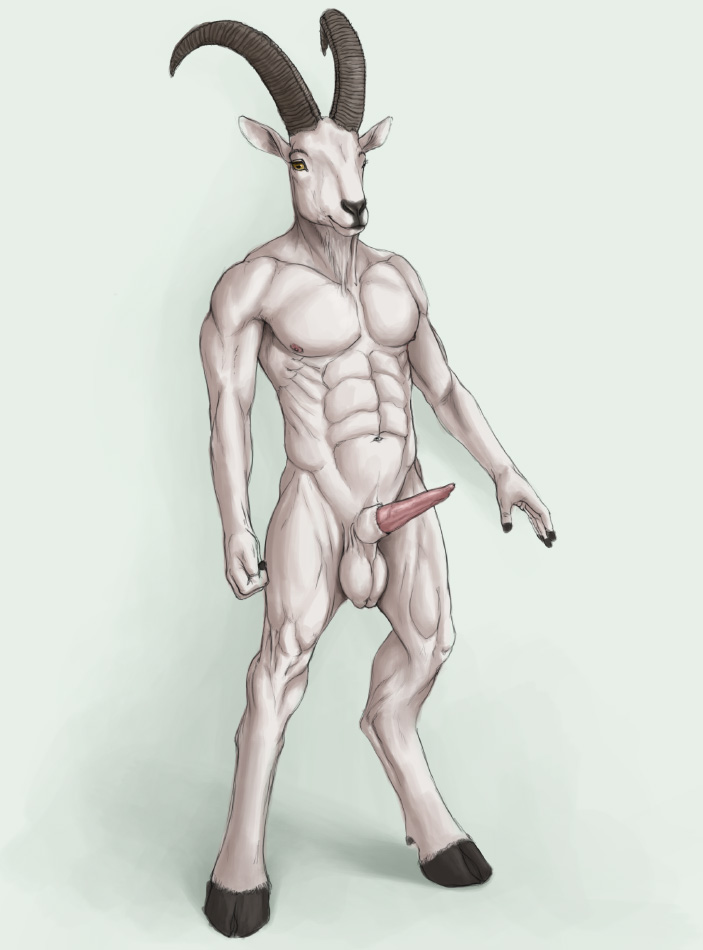 furry pics page 5 full