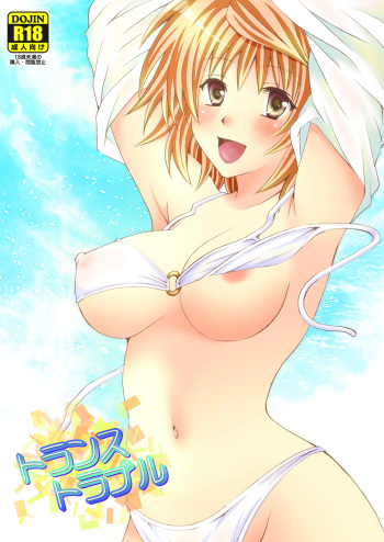 (C80) [Hyogetsu (Momonoki Fum)] Trans Trouble (To Love-Ru) cover