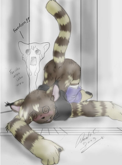 Taross Adventure page 5 full