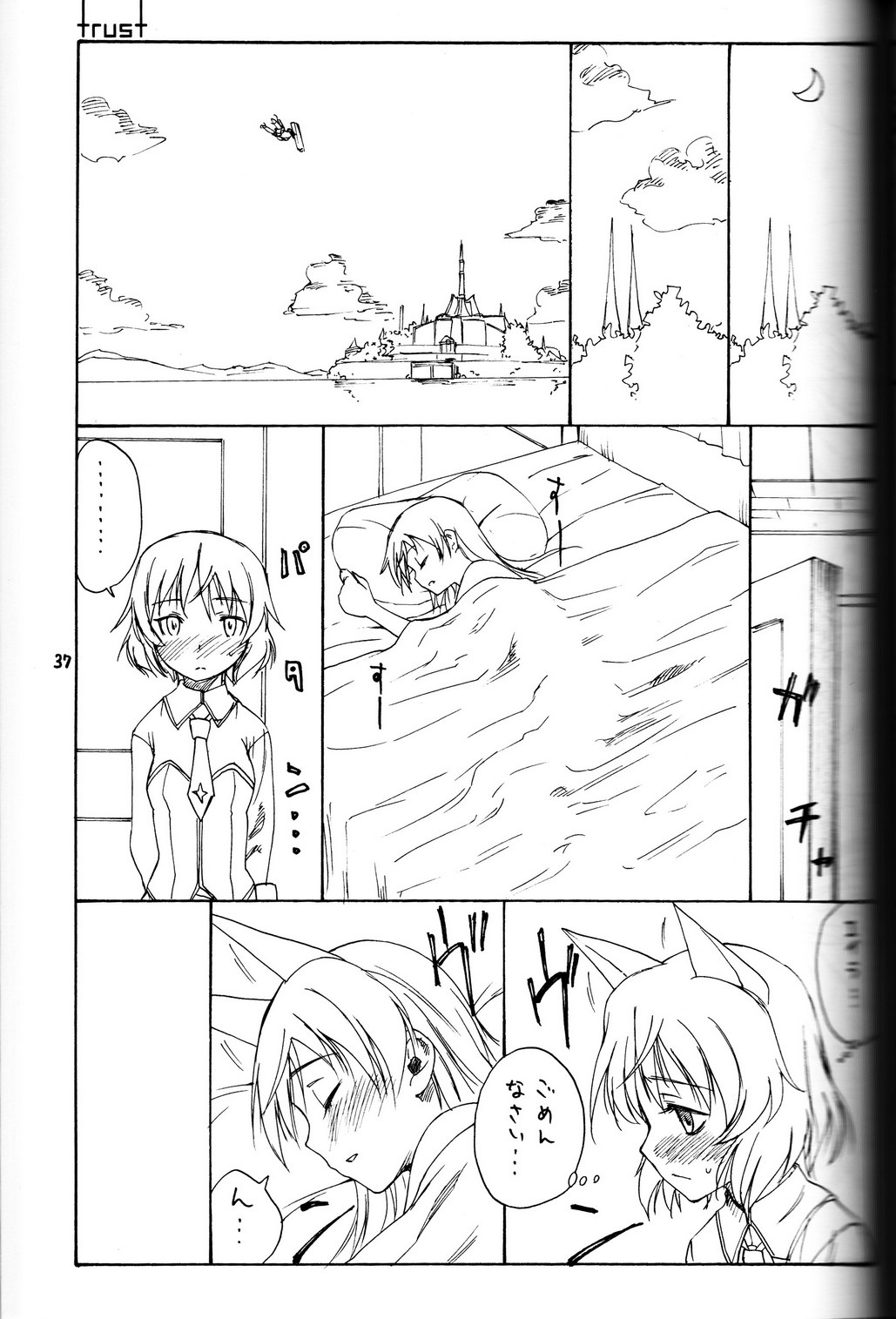 shytrust page 7 full