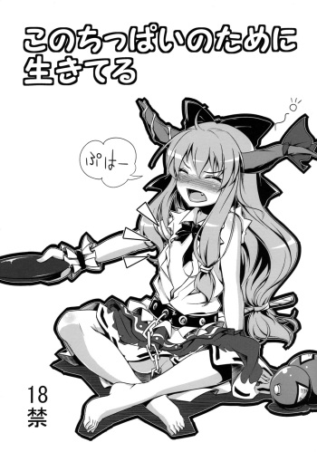 (C77) [Necrolincer (Kimoto Kanata)] Kono Chippai no Tame ni Ikiteru (Touhou Project & DARKER THAN BLACK) cover