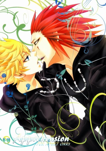 (C78) [CUBE (hana)] Apprehension (Kingdom Hearts) cover