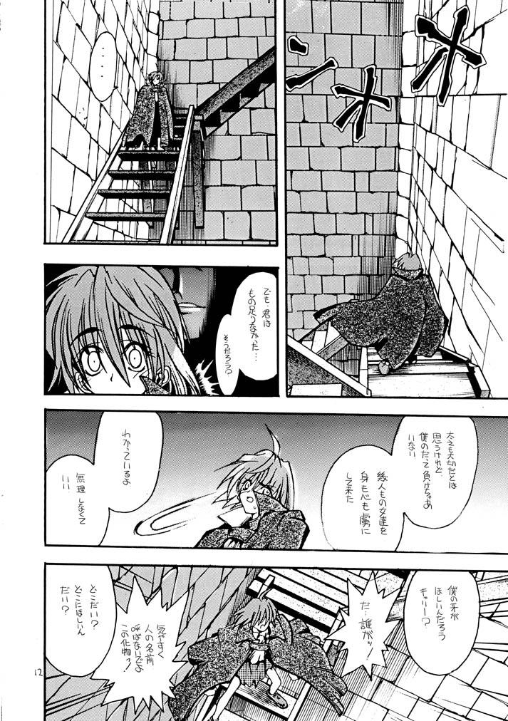 Akai Mokujiroku page 11 full
