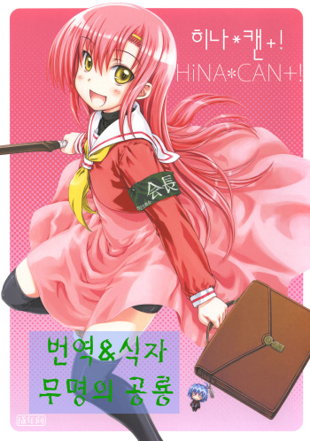 (C77) [SuperFlatLolinitron (Focke Wolf)] HiNA*CAN+! (Hayate no Gotoku!) [Korean] cover