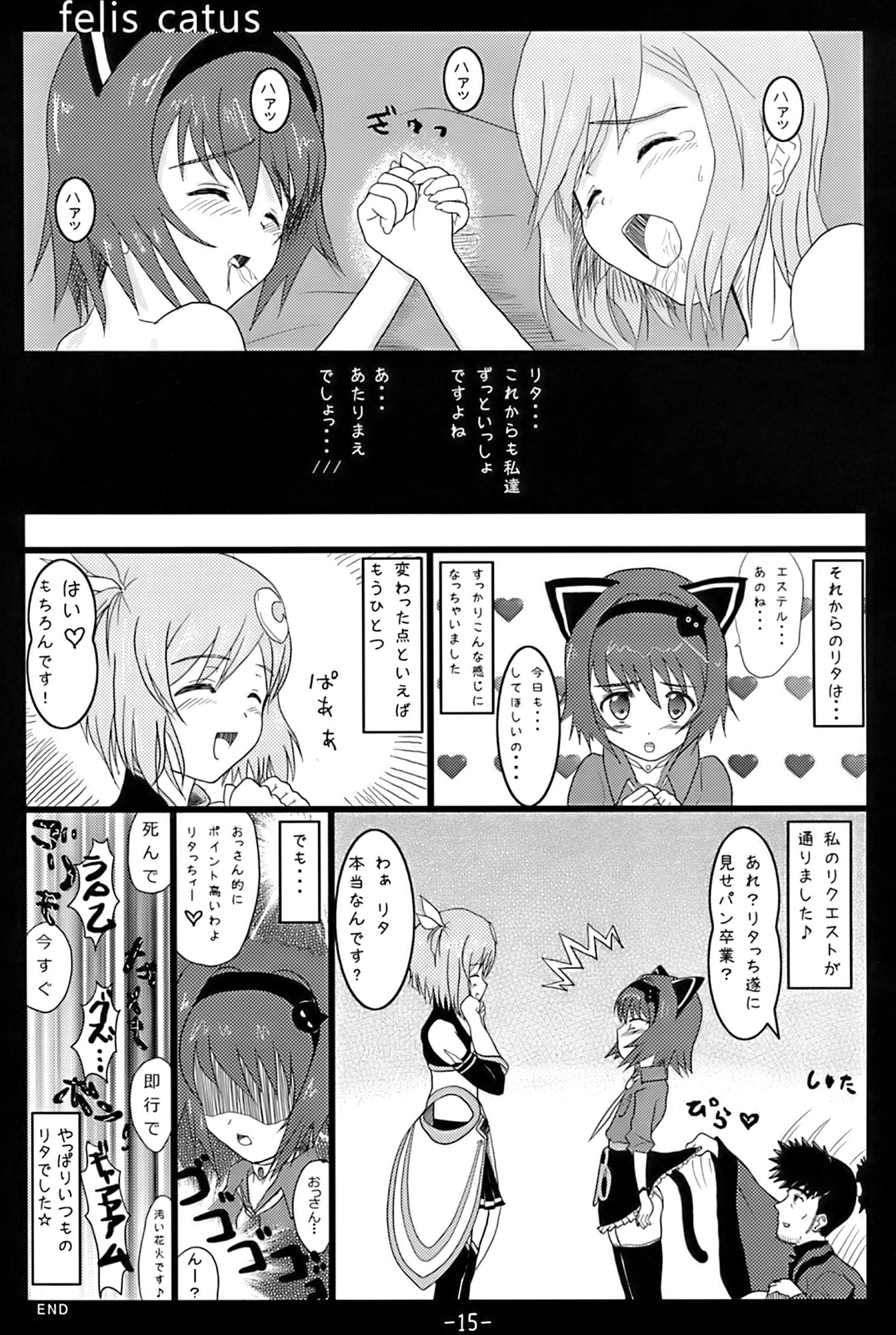 felis catus page 10 full