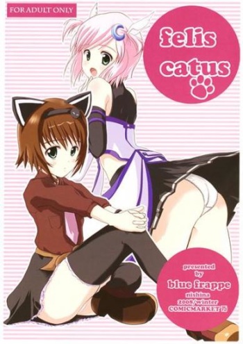 (C75) [blue frappe (Nishina Saburouta)] felis catus (Tales of Vesperia) [Incomplete] cover