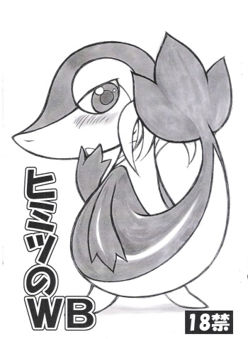 (C79) [Mayoineko (Nakagami Takashi)] Himitsu no WB (Pokemon) cover