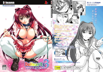 (C68) [D-heaven (Amanogami Dai)] DoHearts 3 Tama-chan of Joytoy (ToHeart 2) cover
