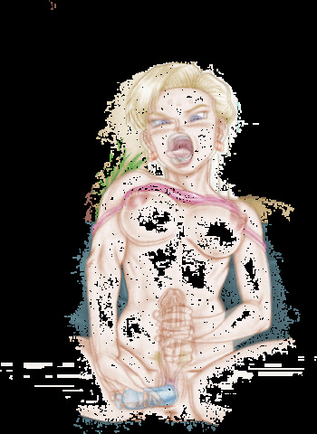 PBX GIF Collection cover