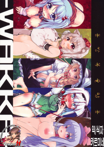 (C79) [Narumiya (Narumiya, Satetsu, Soine) Touhou Kubiwa Goudou -WAKKA- (Touhou Project) (Korean) cover
