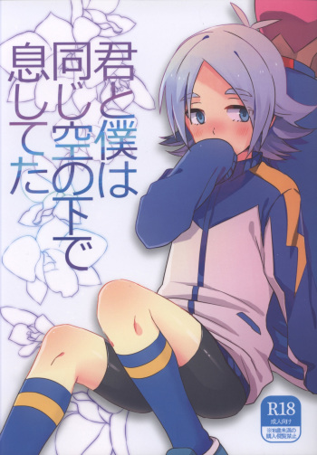[Sora no Tabiji (Tori)] Kimi to Boku wa Onaji Sora no Shita de Ikishiteta (Inazuma Eleven) cover