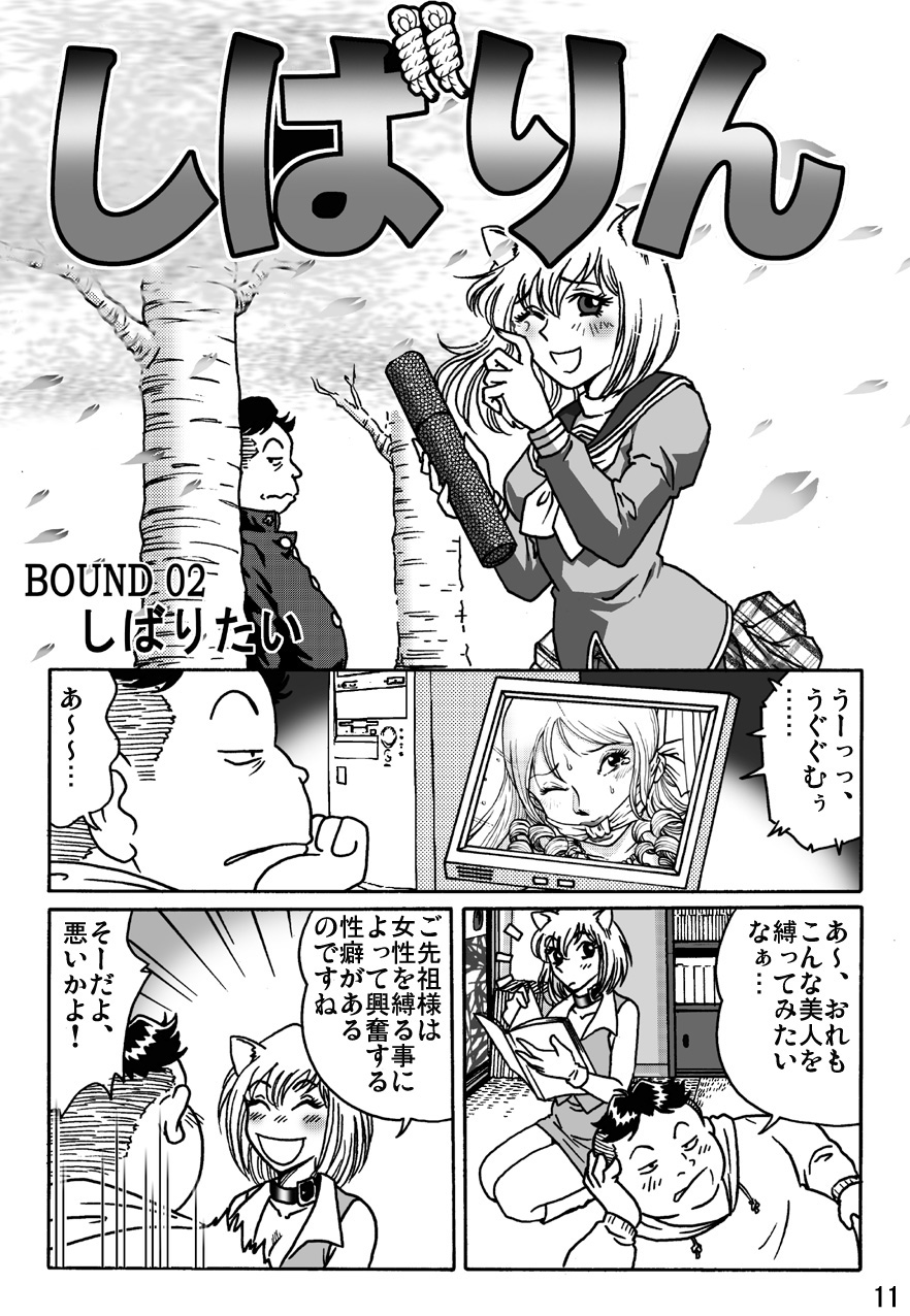 Shibarin page 11 full