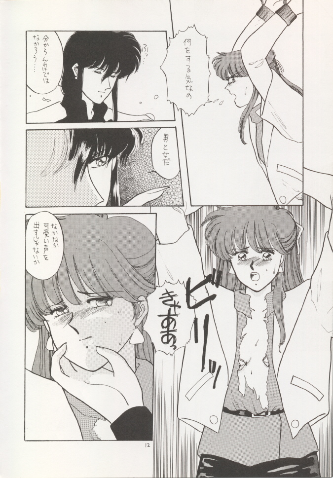 ANICE page 11 full