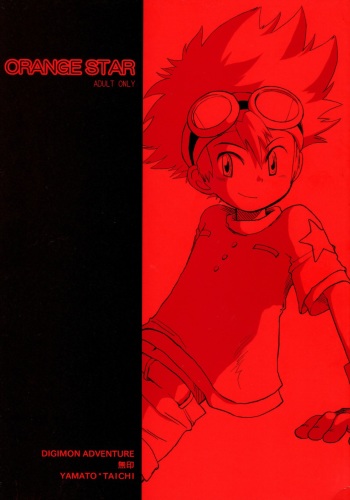 [Miwa Aoba_Remember Day] Orange Star (Digimon) cover