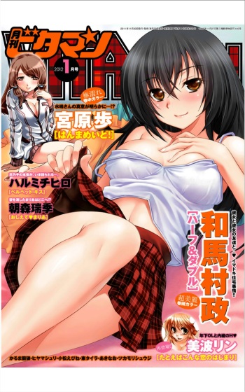 Monthly Vitaman 2012-01 cover