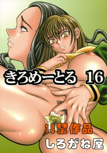 (CR34) [Shiroganeya (Ginseiou)] Kilometer 16 (Maria-sama ga Miteru) cover