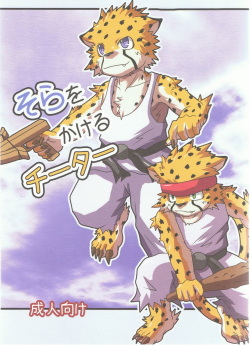 Sora o Kakeru Cheetah