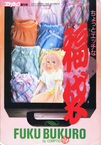 [Comptiq] Chotto H na Fukubukuro cover