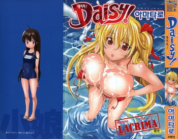 [Amatarou] Daisy! [Korean] [LACRIMA] cover