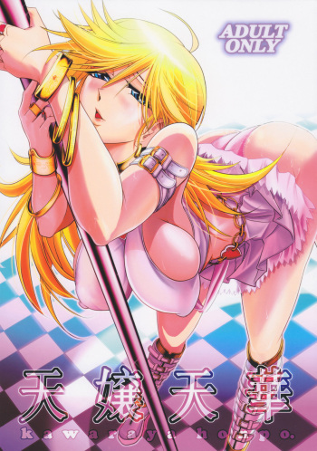 (C79) [Kawaraya Honpo (Kawaraya A-ta)] Tenjou Tenge (Panty & Stocking with Garterbelt) [English] {doujin-moe.us} cover