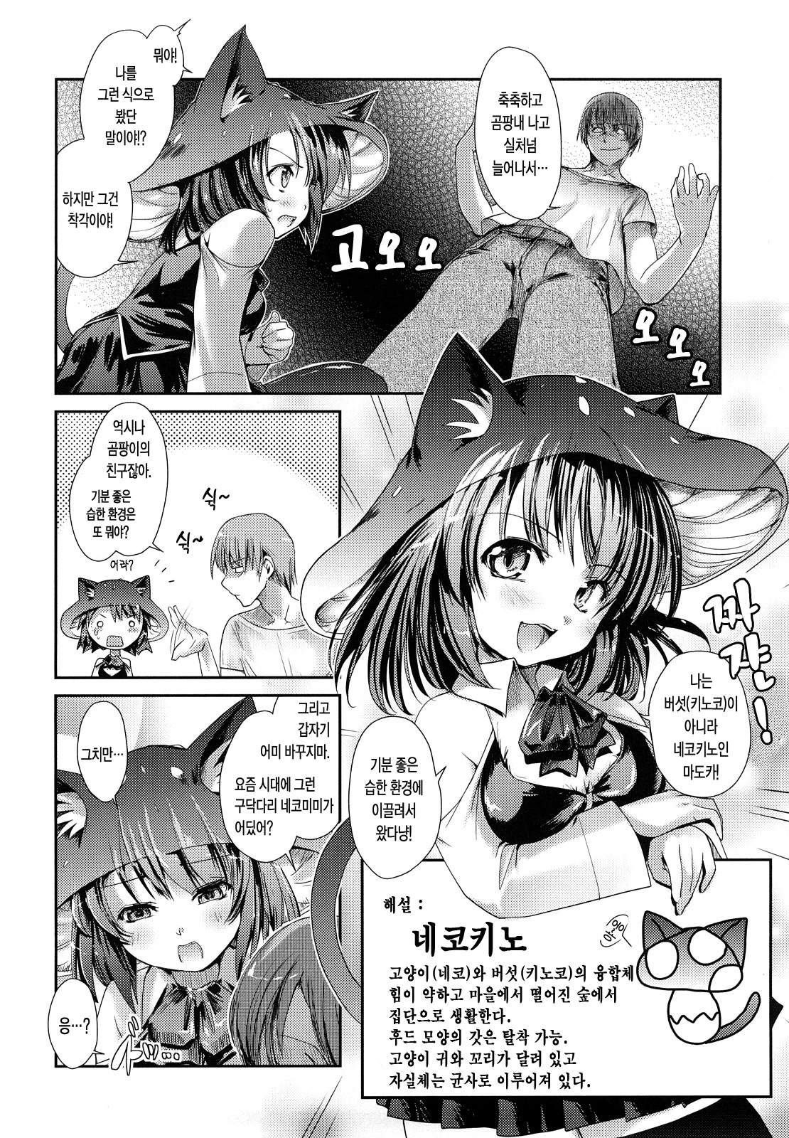 Nekokino to Ame no Machi - Cat Mushroon Girl And Town of Rain page 12 full